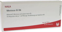 MENISCUS GL D 6 Ampullen