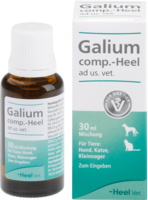 GALIUM COMP.-Heel ad us.vet.Tropfen