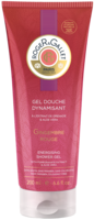 R&G Gingembre Rouge Duschgel