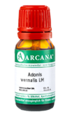 ADONIS VERNALIS LM 18 Dilution