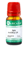 APIS MELLIFICA LM 36 Dilution