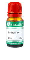 PULSATILLA LM 20 Dilution