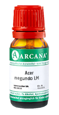 ACER negundo LM 100 Dilution