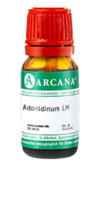 ADONIDINUM LM 12 Dilution