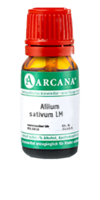 ALLIUM SATIVUM LM 12 Dilution