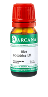 ALOE SOCOTRINA LM 14 Dilution