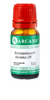 AMMONIACUM dorema LM 14 Dilution