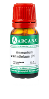 AMMONIUM VANADINICUM LM 10 Dilution