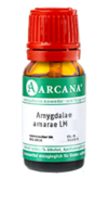 AMYGDALAE AMARAE LM 11 Dilution