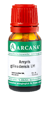 AMYRIS gileadensis LM 9 Dilution