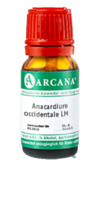 ANACARDIUM OCCIDENTALE LM 22 Dilution