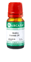 ANDIRA inermis LM 75 Dilution