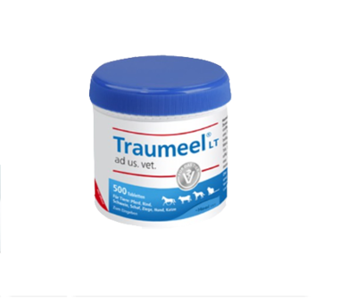 TRAUMEEL LT ad us.vet.Tabletten